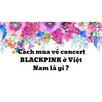 Cách mua vé concert BLACKPINK ở Việt Nam là gì ?
