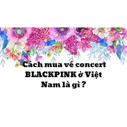 Cách mua vé concert BLACKPINK ở Việt Nam là gì ?