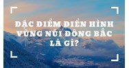 Đặc điểm điển hình vùng núi Đông Bắc là gì?