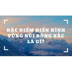 Đặc điểm điển hình vùng núi Đông Bắc là gì?
