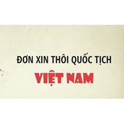 Bị mất quốc tịch Việt Nam trong những trường hợp nào?
