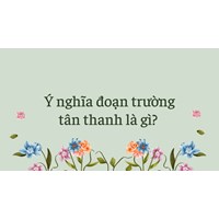 Ý nghĩa đoạn trường tân thanh là gì?