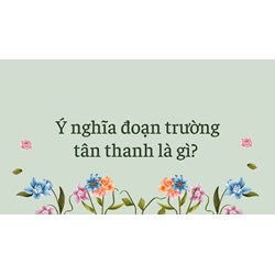 Ý nghĩa đoạn trường tân thanh là gì?