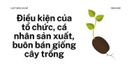 Điều kiện của tổ chức, cá nhân sản xuất, buôn bán giống cây trồng