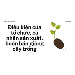 Điều kiện của tổ chức, cá nhân sản xuất, buôn bán giống cây trồng