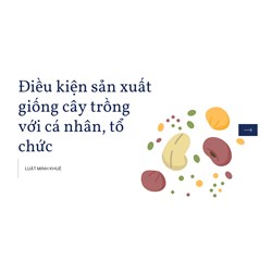 Điều kiện sản xuất giống cây trồng với cá nhân, tổ chức