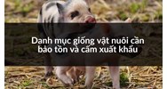 Danh mục giống vật nuôi cần bảo tồn và cấm xuất khẩu