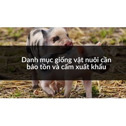 Danh mục giống vật nuôi cần bảo tồn và cấm xuất khẩu