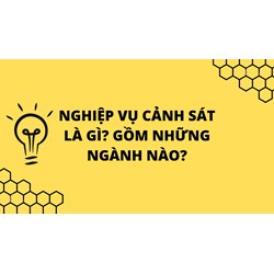 Nghiệp vụ cảnh sát là gì? Gồm những ngành nào?