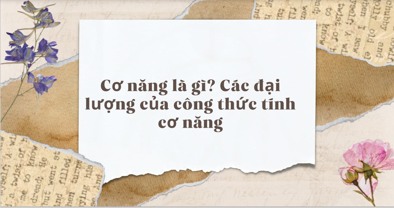 4. Định Luật Bảo Toàn Cơ Năng