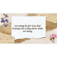 Cơ năng là gì? Các đại lượng của công thức tính cơ năng