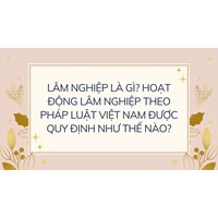 Lâm nghiệp là gì? Hoạt động lâm nghiệp theo pháp luật Việt Nam được quy định như thế nào?