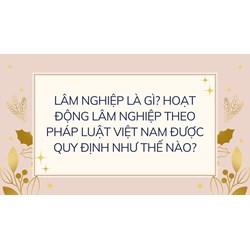 Lâm nghiệp là gì? Hoạt động lâm nghiệp theo pháp luật Việt Nam được quy định như thế nào?