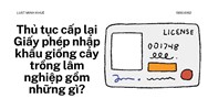 Thủ tục cấp lại Giấy phép nhập khẩu giống cây trồng lâm nghiệp gồm những gì?