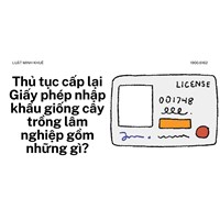 Thủ tục cấp lại Giấy phép nhập khẩu giống cây trồng lâm nghiệp gồm những gì?