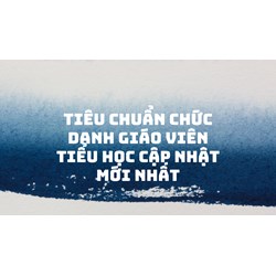 Tiêu chuẩn chức danh giáo viên tiểu học cập nhật mới nhất