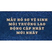 Mẫu hồ sơ vệ sinh môi trường lao động mới nhất