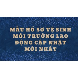 Mẫu hồ sơ vệ sinh môi trường lao động mới nhất