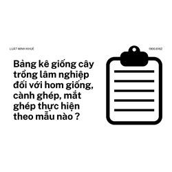 Bảng kê giống cây trồng lâm nghiệp đối với hom giống, cành ghép, mắt ghép thực hiện theo mẫu nào ?