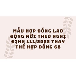 Mẫu hợp đồng lao động mới theo Nghị định 111/2022 thay thế Hợp đồng 68