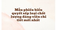 Mẫu phiếu biểu quyết xếp loại chất lượng đảng viên chi tiết nhất