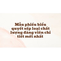 Mẫu phiếu biểu quyết xếp loại chất lượng đảng viên chi tiết nhất