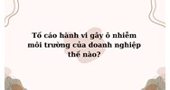 Tố cáo hành vi gây ô nhiễm môi trường của doanh nghiệp thế nào?