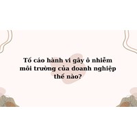 Tố cáo hành vi gây ô nhiễm môi trường của doanh nghiệp thế nào?