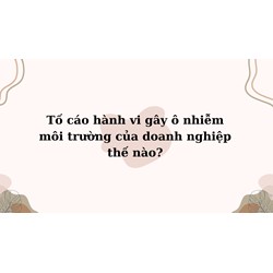 Tố cáo hành vi gây ô nhiễm môi trường của doanh nghiệp thế nào?