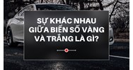 Sự khác nhau giữa biển số xe mầu vàng và trắng là gì?