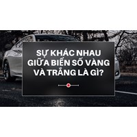 Sự khác nhau giữa biển số xe mầu vàng và trắng là gì?