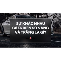 Sự khác nhau giữa biển số xe mầu vàng và trắng là gì?