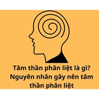 Tâm thần phân liệt là gì? Nguyên nhân gây nên tâm thần phân liệt