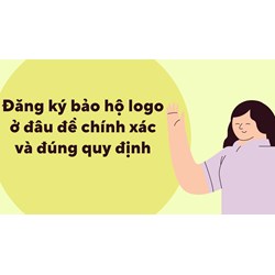 Đăng Ký Bảo Hộ Logo Ở Đâu để Chính Xác Và Đúng Quy Định?