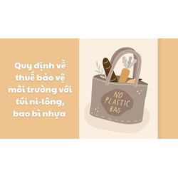 Quy định về thuế bảo vệ môi trường với túi ni-lông, bao bì nhựa
