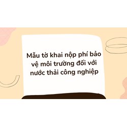 Mẫu tờ khai nộp phí bảo vệ môi trường đối với nước thải công nghiệp