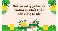 Mối quan hệ giữa môi trường và phát triển bền vững là gì?