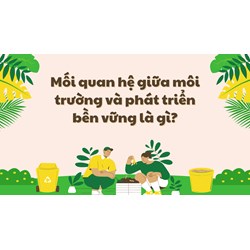 Mối quan hệ giữa môi trường và phát triển bền vững là gì?