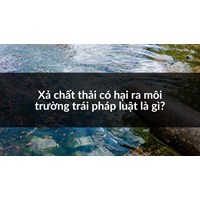Xả chất thải có hại ra môi trường trái pháp luật là gì?