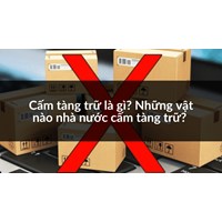Cấm tàng trữ là gì? Những vật nào nhà nước cấm tàng trữ?
