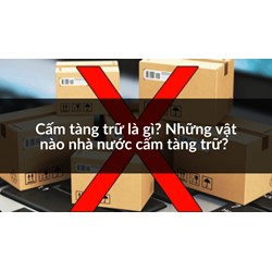 Cấm tàng trữ là gì? Những vật nào nhà nước cấm tàng trữ?