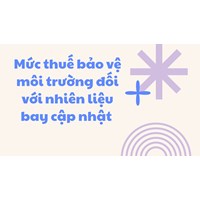 Mức thuế bảo vệ môi trường đối với nhiên liệu bay mới nhất