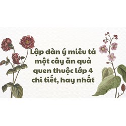 Lập dàn ý miêu tả một cây ăn quả quen thuộc lớp 4 chi tiết, hay nhất