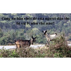 Công an bắn chết dê của người dân thì bị xử lý như thế nào?