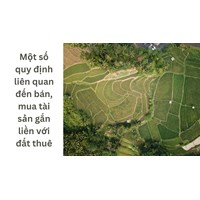 Một số quy định liên quan đến bán, mua tài sản gắn liền với đất thuê