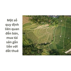 Một số quy định liên quan đến bán, mua tài sản gắn liền với đất thuê