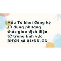 Mẫu Tờ khai đăng ký sử dụng phương thức giao dịch điện tử trong lĩnh vực BHXH số 01/ĐK-GD
