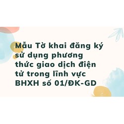 Mẫu Tờ khai đăng ký sử dụng phương thức giao dịch điện tử trong lĩnh vực BHXH số 01/ĐK-GD