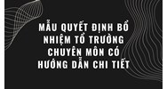Mẫu quyết định bổ nhiệm tổ trưởng chuyên môn có hướng dẫn chi tiết