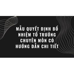 Mẫu quyết định bổ nhiệm tổ trưởng chuyên môn có hướng dẫn chi tiết